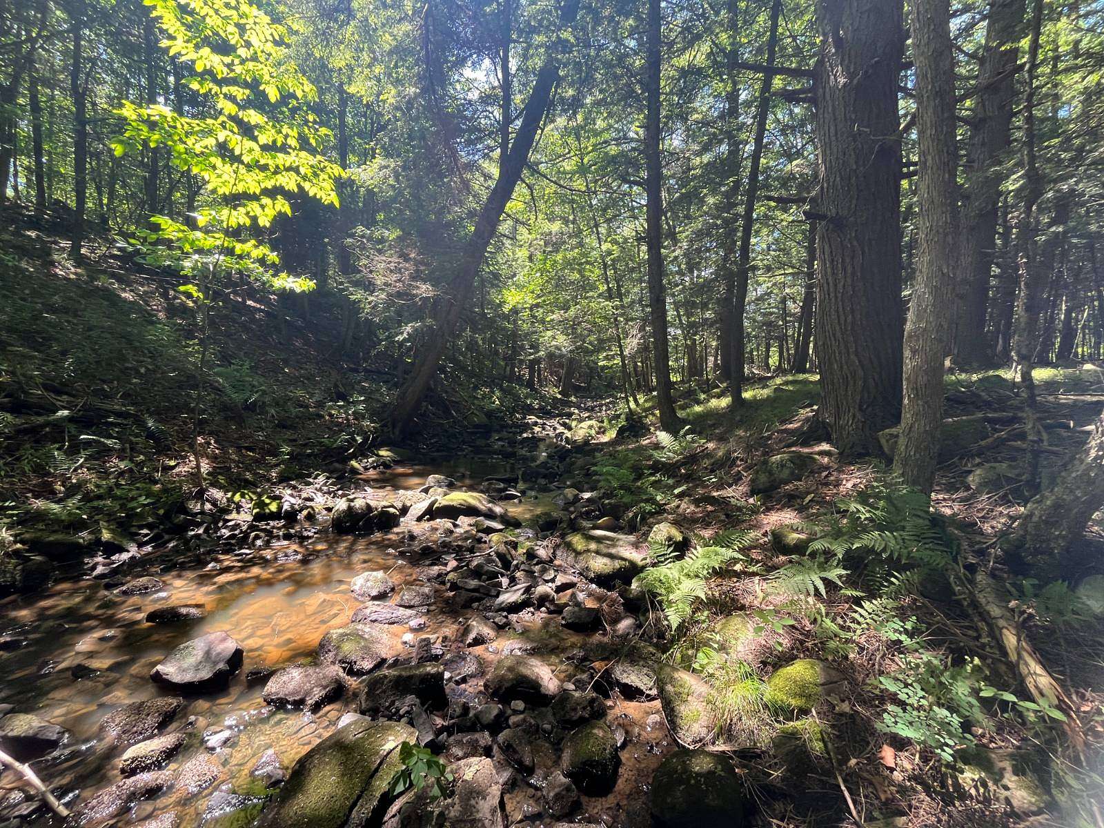 15 Acres of Land for Sale in Canton, New York