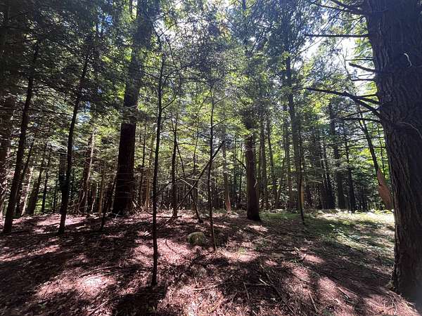 15 Acres of Land for Sale in Canton, New York
