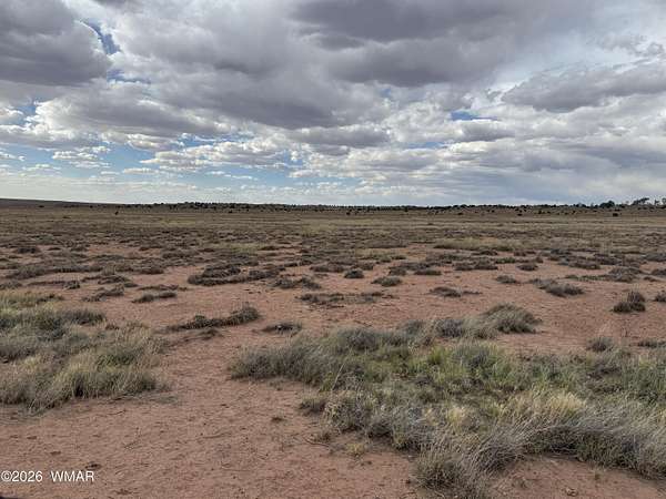 1.1 Acres of Land for Sale in St. Johns, Arizona