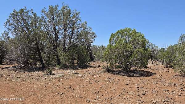 20 Acres of Recreational Land for Sale in Seligman, Arizona