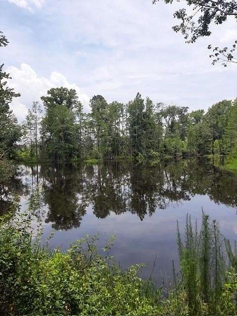 45.5 Acres of Recreational & Residential Land for Sale in Pearson, Georgia