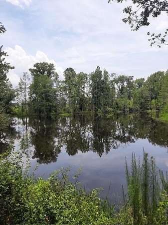 45.5 Acres of Recreational & Residential Land for Sale in Pearson, Georgia