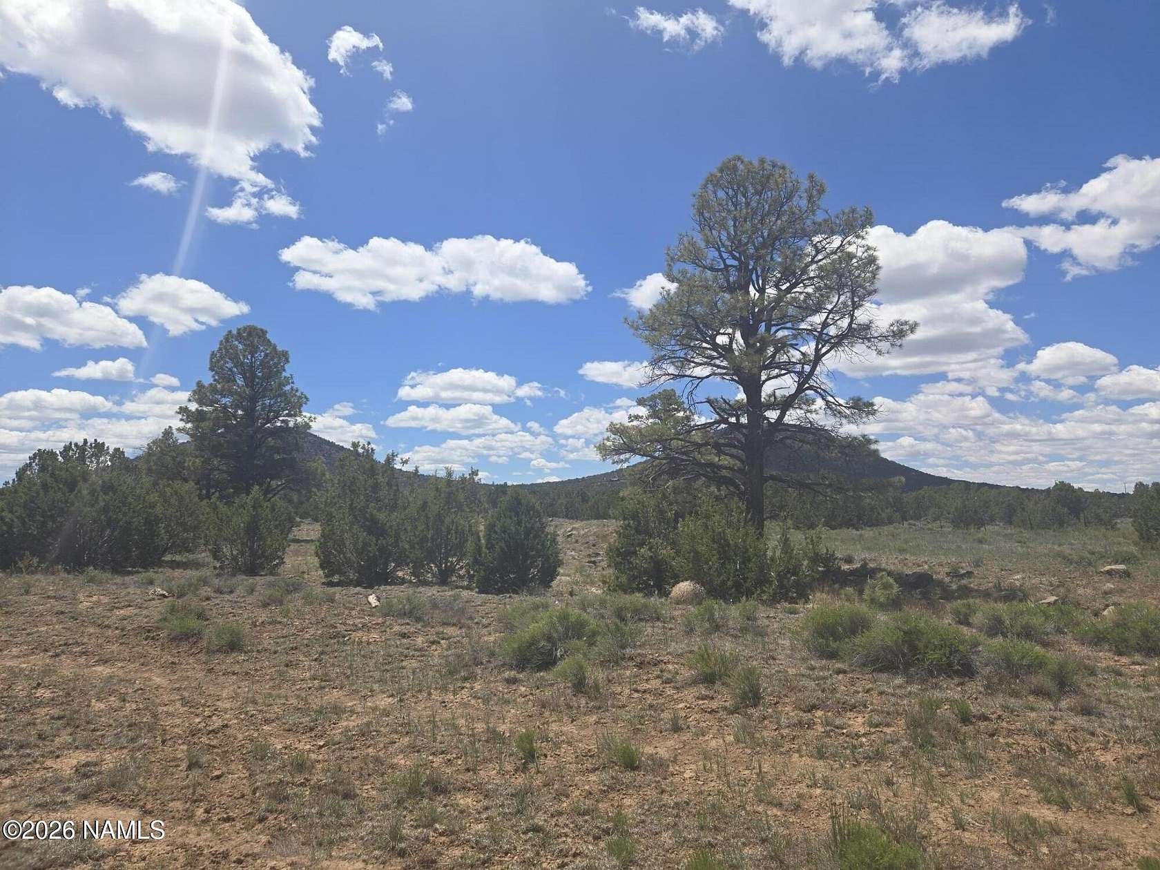 20.3 Acres of Land for Sale in Williams, Arizona