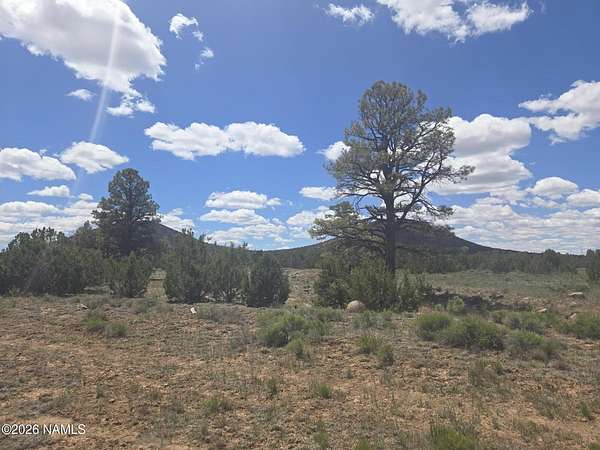 20.3 Acres of Land for Sale in Williams, Arizona
