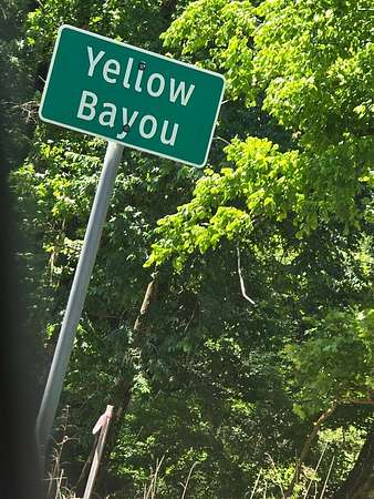 4.65 Acres of Land for Sale in Burkeville, Texas