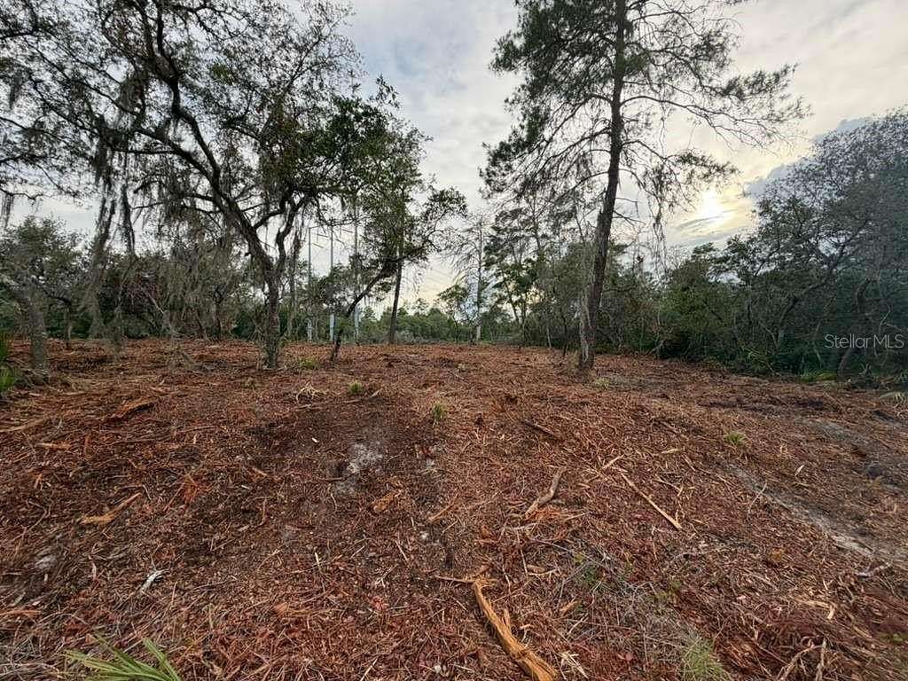 0.53 Acres of Residential Land for Sale in Ocklawaha, Florida