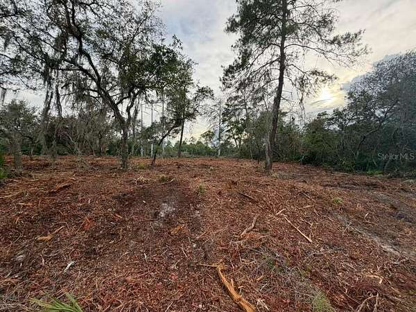 0.53 Acres of Residential Land for Sale in Ocklawaha, Florida