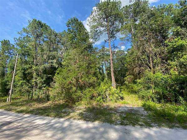 0.41 Acres of Residential Land for Sale in Citra, Florida