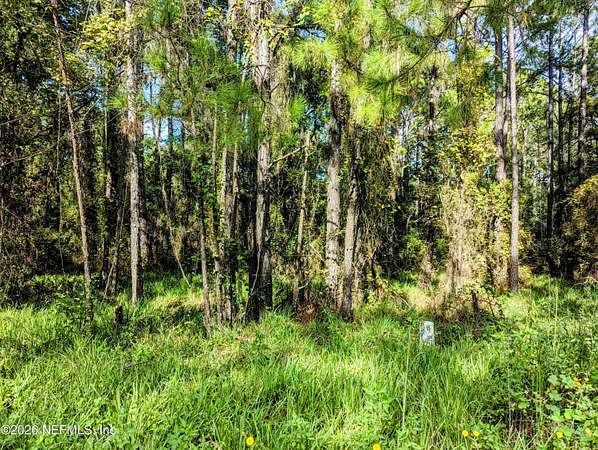 6 Acres of Commercial Land for Sale in Waldo, Florida