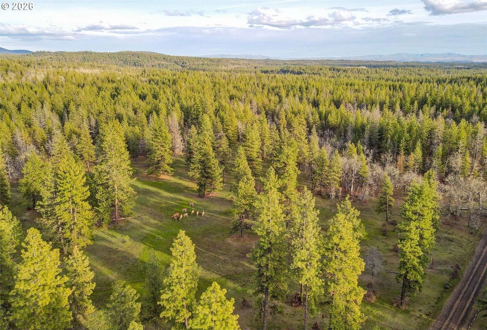 79.3 Acres of Recreational Land for Sale in Goldendale, Washington