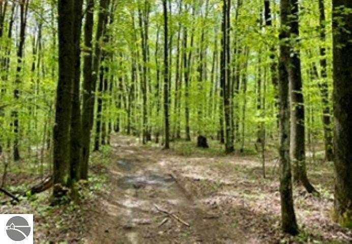 40 Acres of Recreational Land for Sale in Rapid City, Michigan