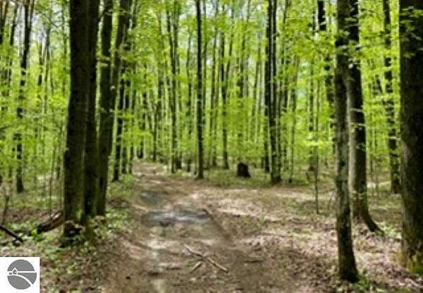40 Acres of Recreational Land for Sale in Rapid City, Michigan