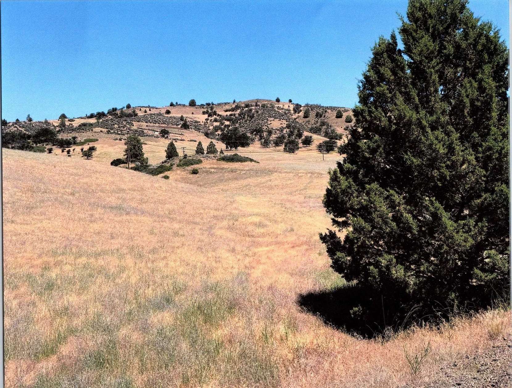 6.9 Acres of Residential Land for Sale in Hornbrook, California