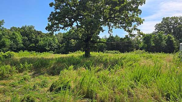 40 Acres of Land for Sale in Gatewood, Missouri