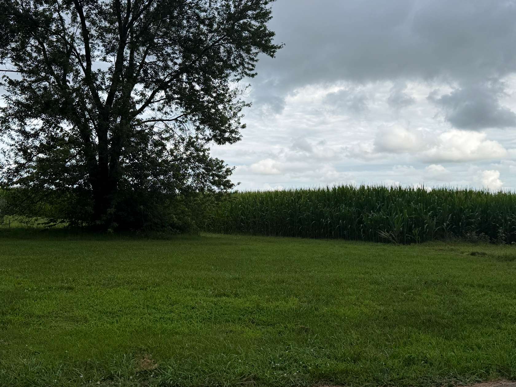 1 Acre of Residential Land for Sale in Franklin, Kentucky
