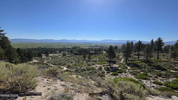 40 Acres of Recreational Land for Sale in Gardnerville, Nevada