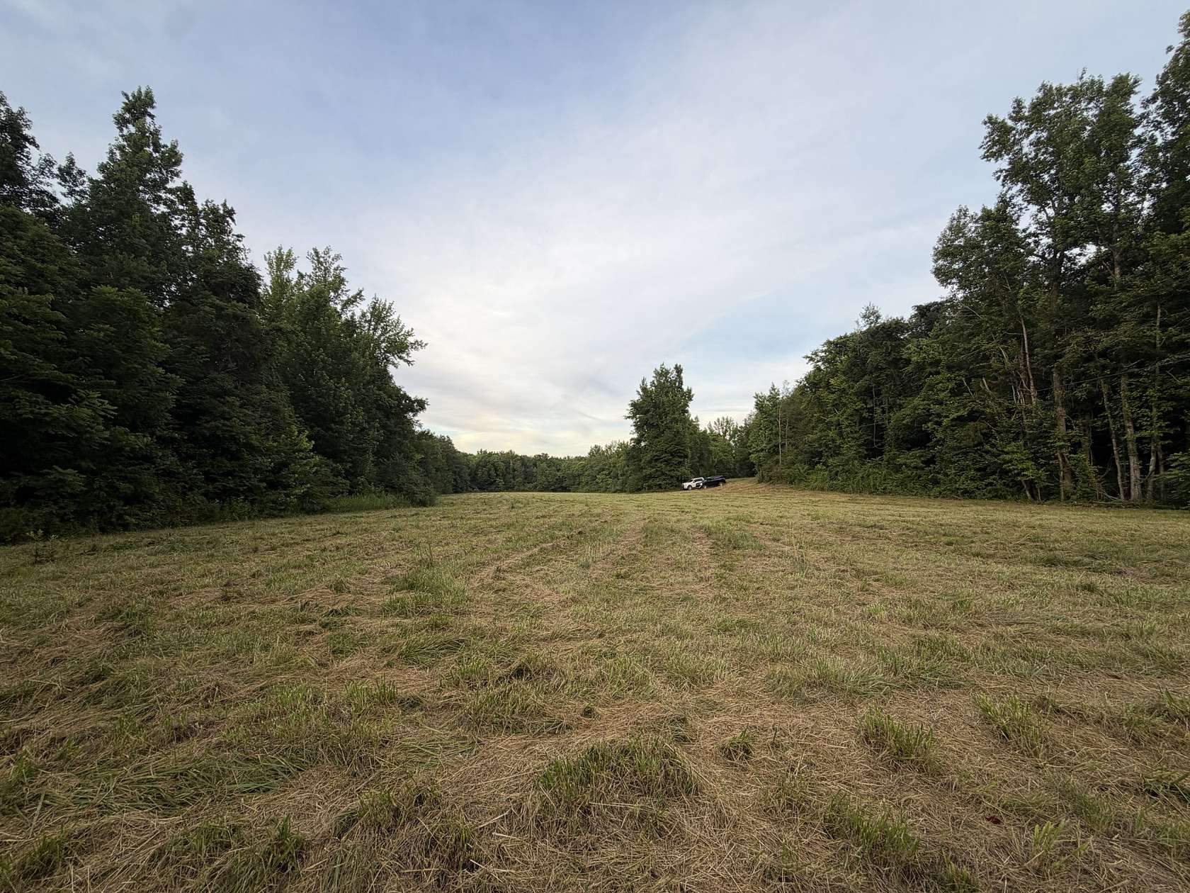 15.2 Acres of Land for Sale in Holladay, Tennessee