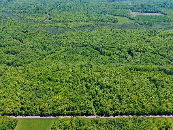 40 Acres of Land for Sale in Gurney, Wisconsin