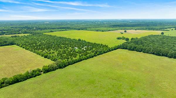243 Acres of Land for Sale in Clarksville, Texas