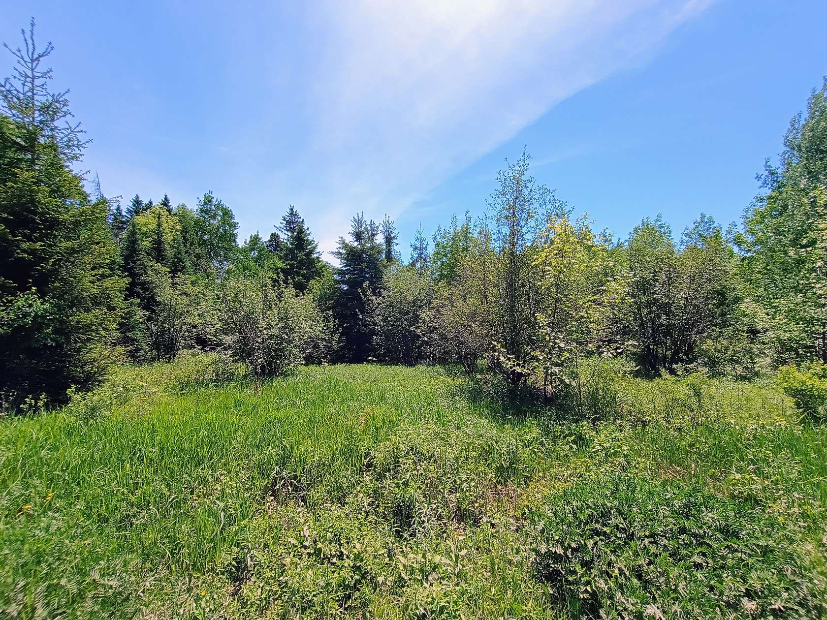 80 Acres of Land for Sale in High Bridge, Wisconsin