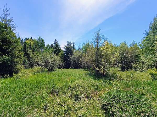 80 Acres of Land for Sale in High Bridge, Wisconsin