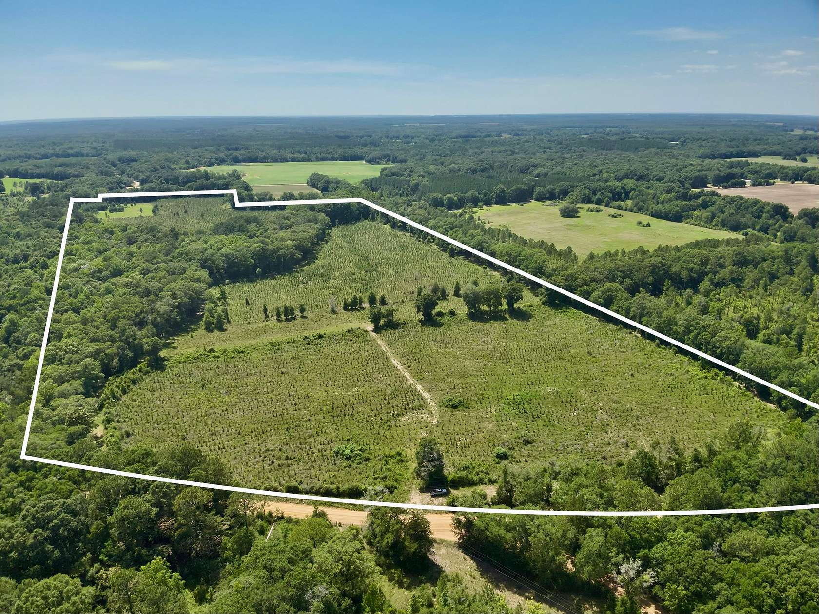 60 Acres of Land for Sale in Hartford, Alabama