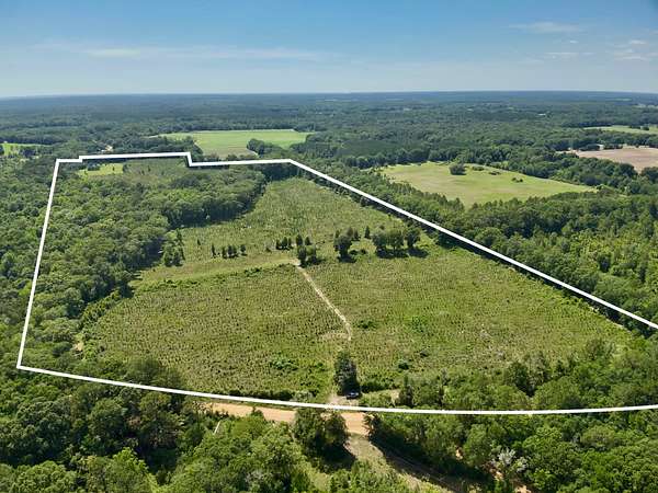 60 Acres of Land for Sale in Hartford, Alabama