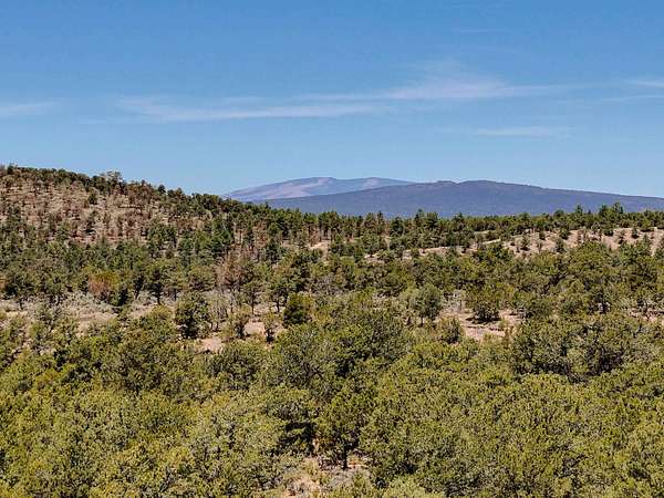 12.8 Acres of Land for Sale in Valdez, New Mexico
