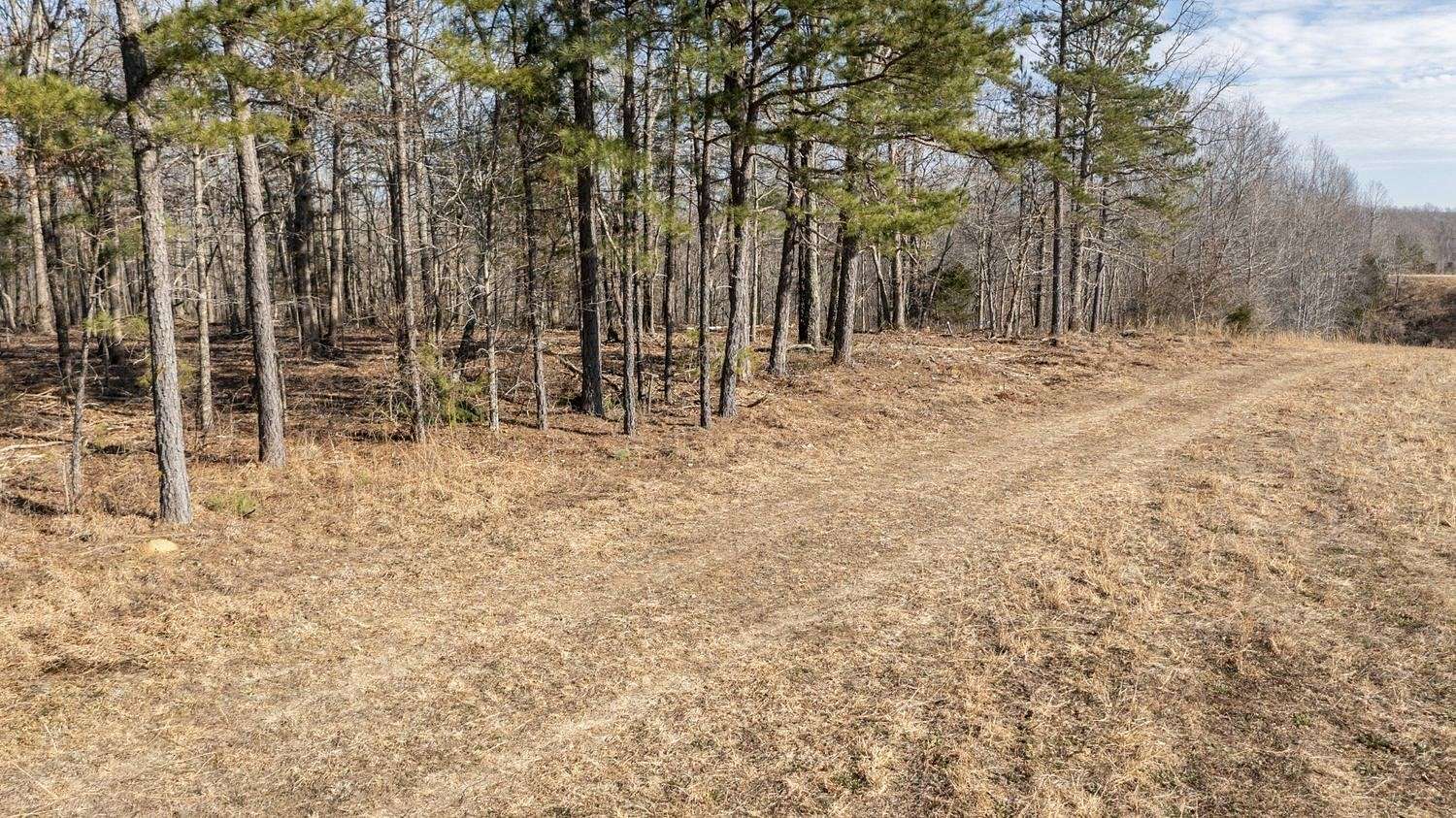 32 Acres of Land for Sale in Hohenwald, Tennessee