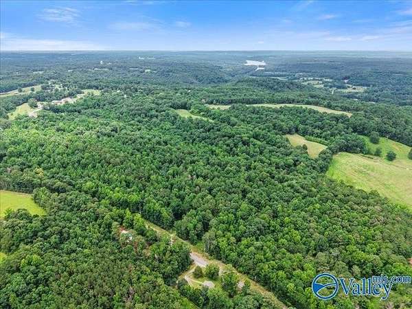 37 Acres of Recreational & Residential Land for Sale in Crane Hill, Alabama