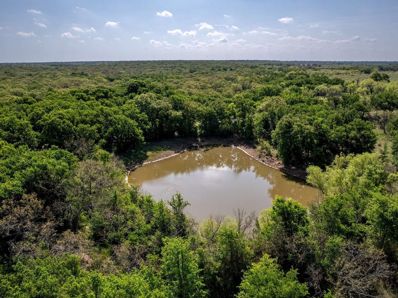 80 Acres of Recreational Land for Sale in Brownwood, Texas