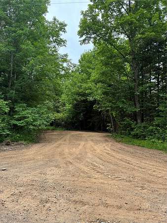 11.3 Acres of Recreational & Residential Land for Sale in Loretta, Wisconsin