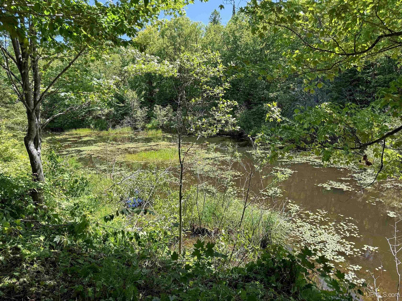 4.1 Acres of Land for Sale in Ontonagon, Michigan