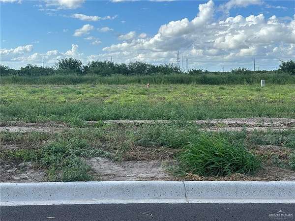 0.19 Acres of Residential Land for Sale in Donna, Texas