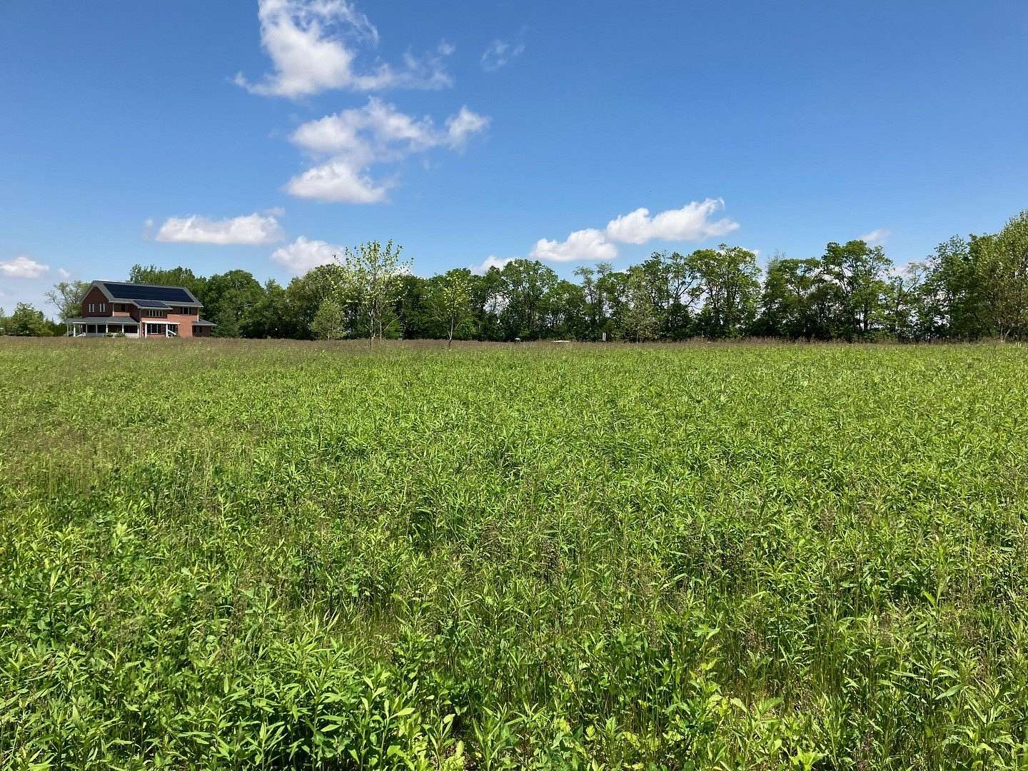 0.5 Acres of Residential Land for Sale in Urbana, Illinois