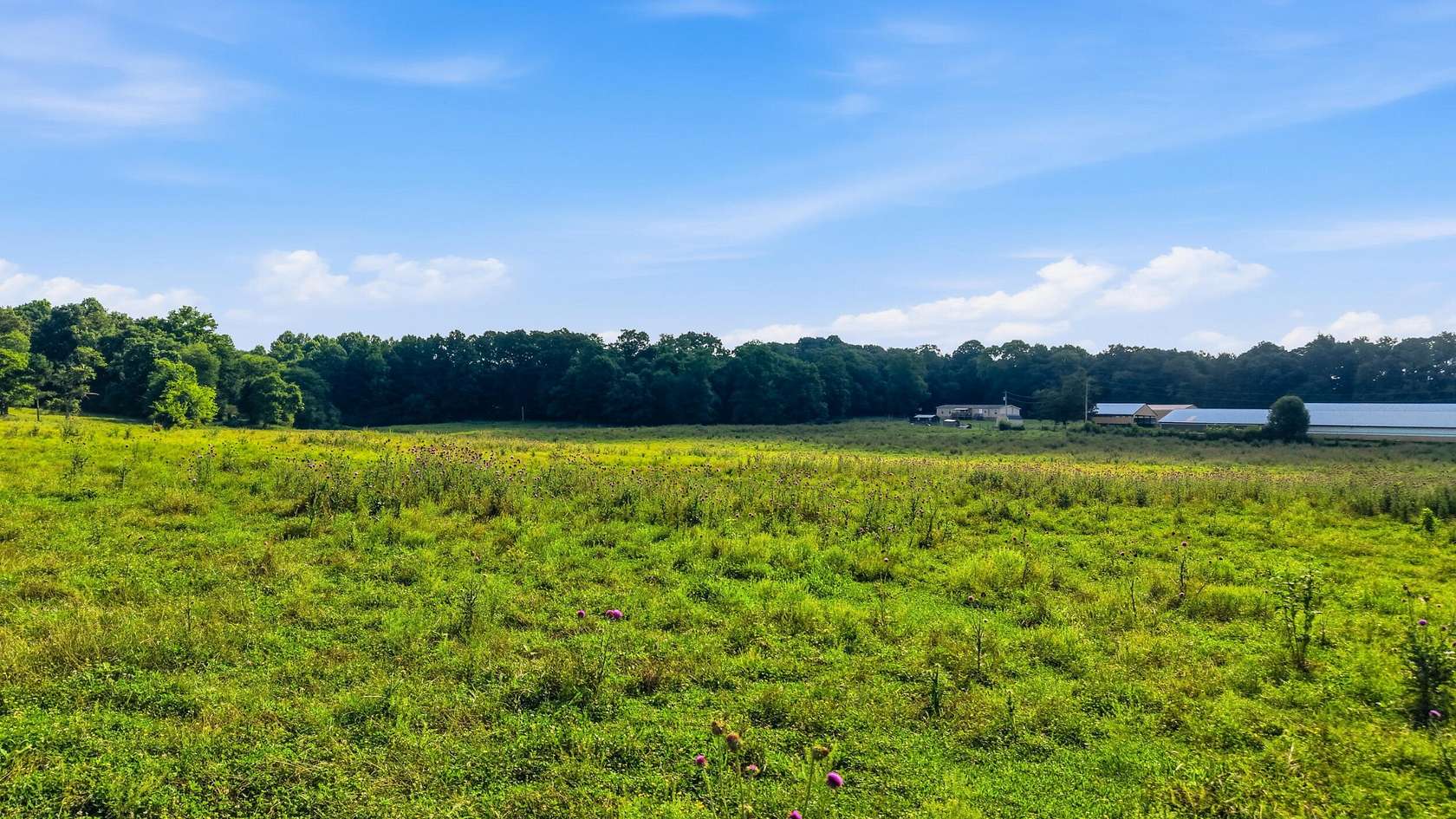 51.2 Acres of Agricultural Land for Sale in Cleveland, Tennessee