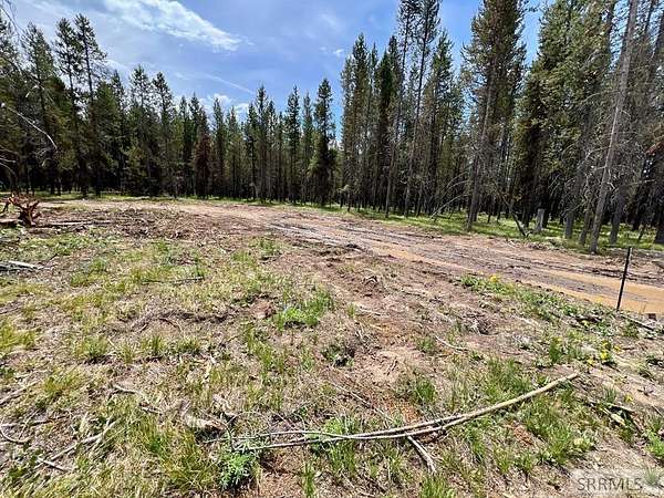 0.65 Acres of Land for Sale in Island Park, Idaho