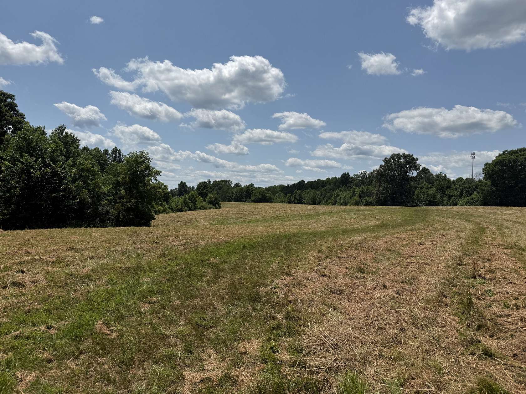 68.8 Acres of Land for Sale in Gainesboro, Tennessee