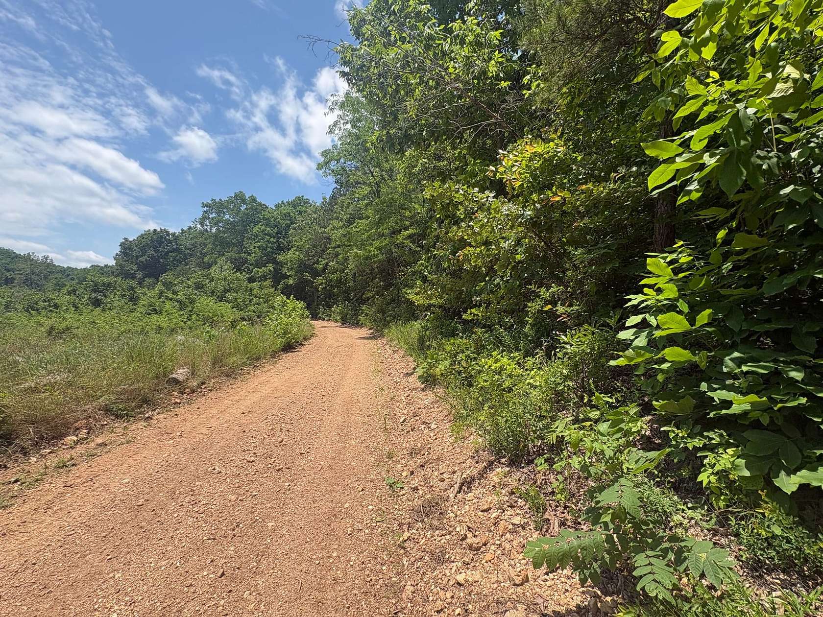 80 Acres of Land for Sale in Ellington, Missouri