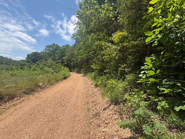 80 Acres of Land for Sale in Ellington, Missouri