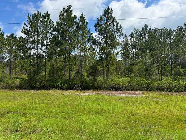 10.5 Acres of Recreational Land for Sale in Odum, Georgia