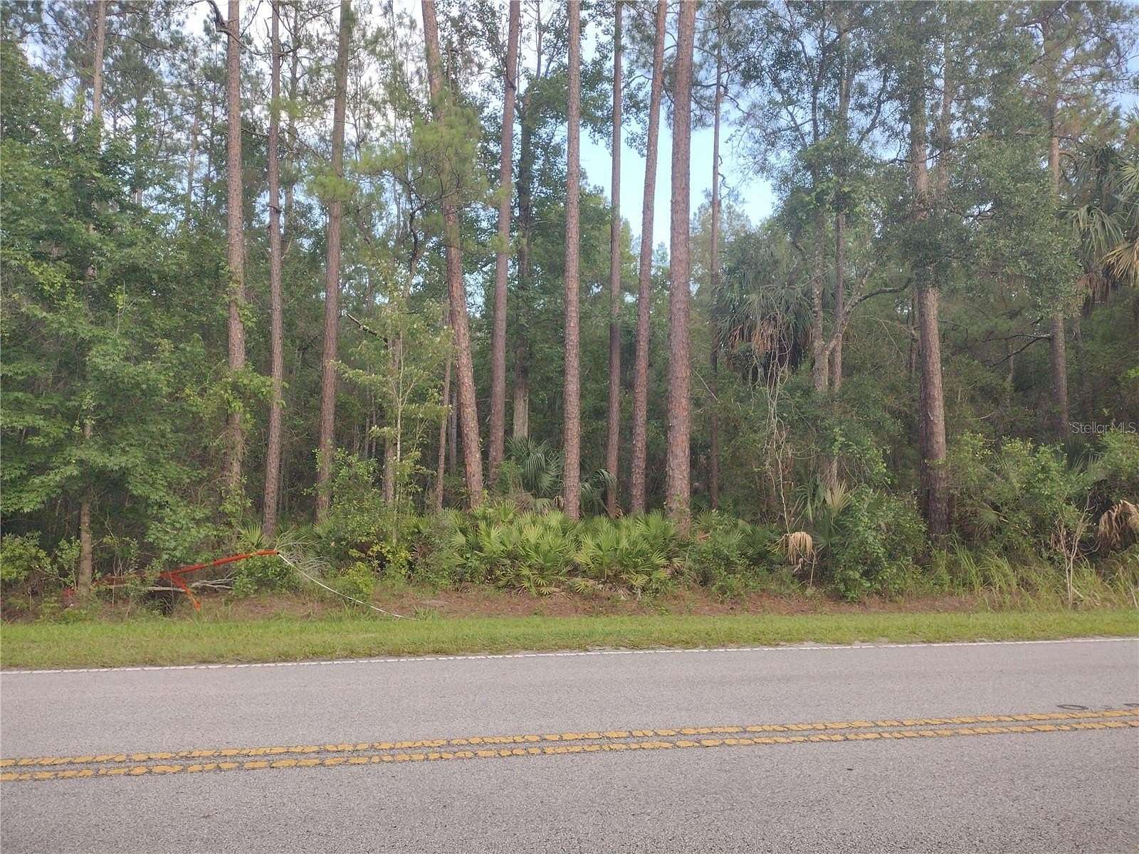 3 Acres of Land for Sale in Silver Springs, Florida