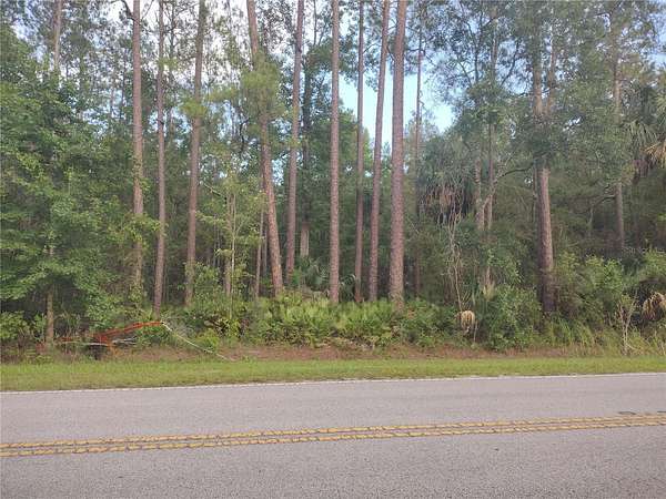 3 Acres of Land for Sale in Silver Springs, Florida