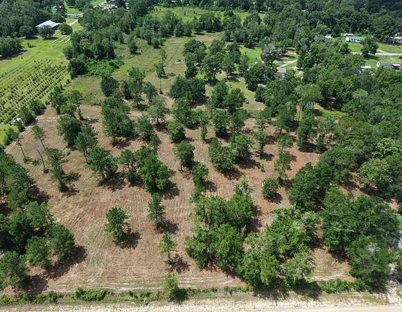 4 Acres of Residential Land for Sale in Wewahitchka, Florida