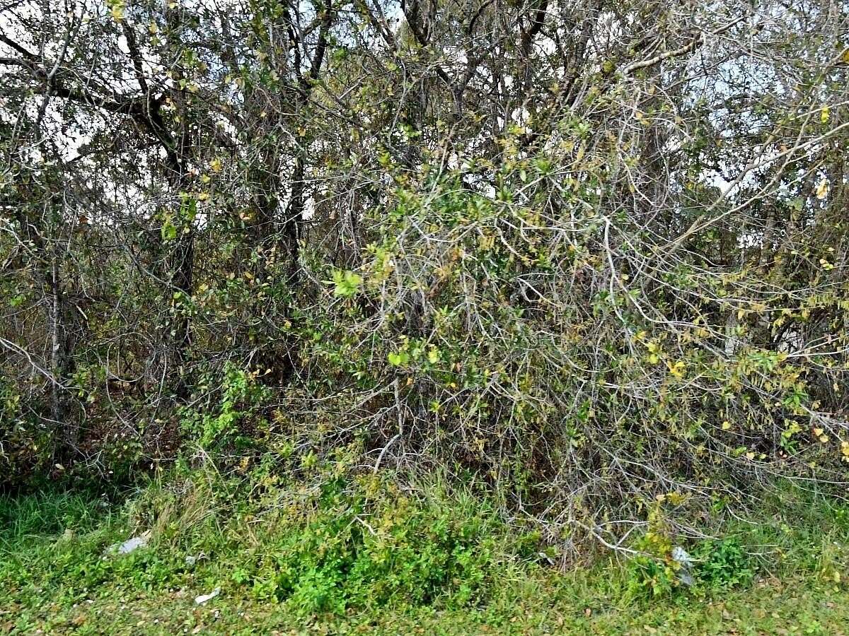 0.34 Acres of Residential Land for Sale in Fort Pierce, Florida