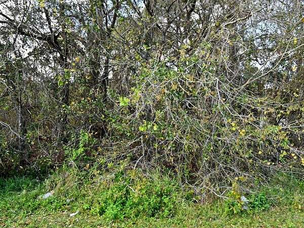 0.34 Acres of Residential Land for Sale in Fort Pierce, Florida