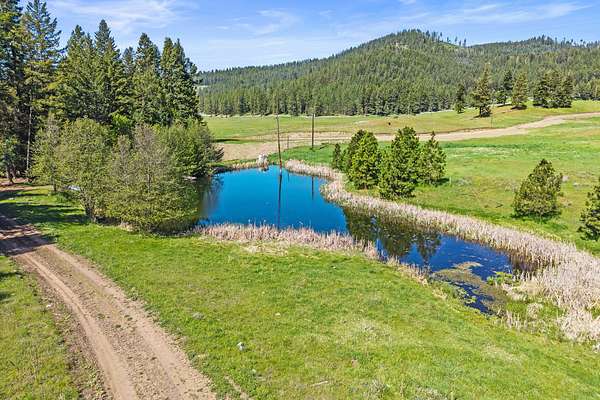 80.3 Acres of Recreational & Residential Land for Sale in Rice, Washington