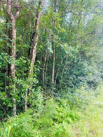 20 Acres of Recreational & Residential Land for Sale in Lumberton, Mississippi