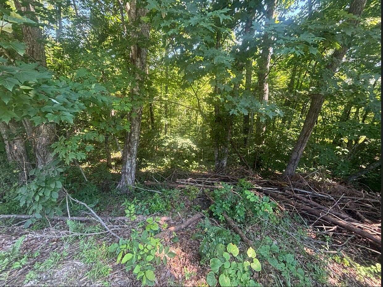8 Acres of Residential Land for Sale in Burnside, Kentucky