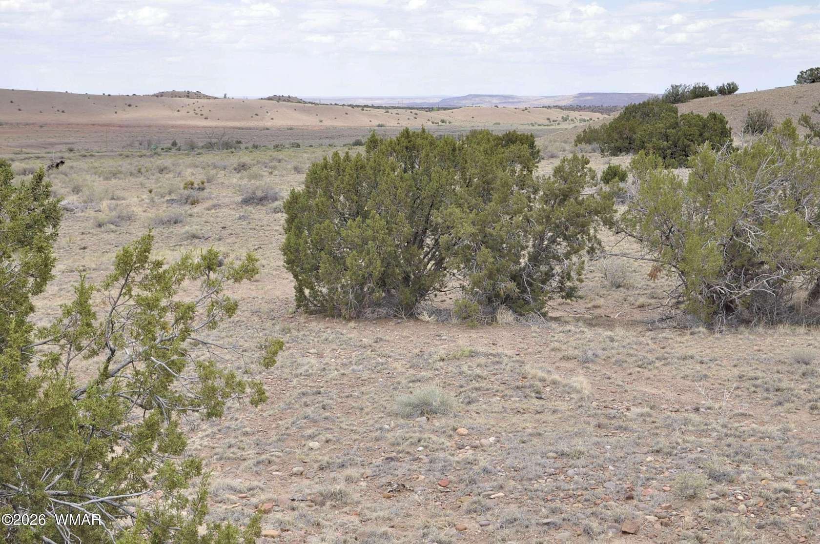 11 Acres of Land for Sale in Concho, Arizona